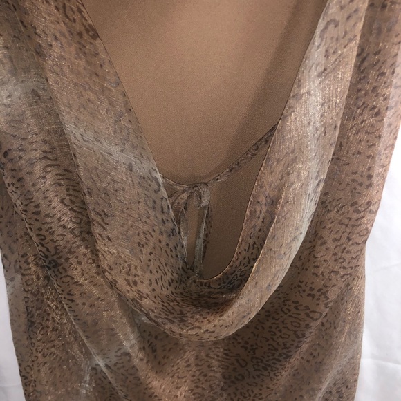 BLUE BLUSH- Sheer Leopard Blush Dress - Picture 5 of 6